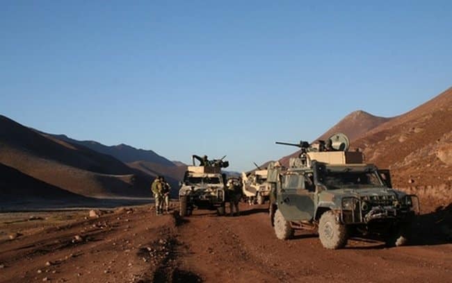 Lince in autocolonna nel deserto